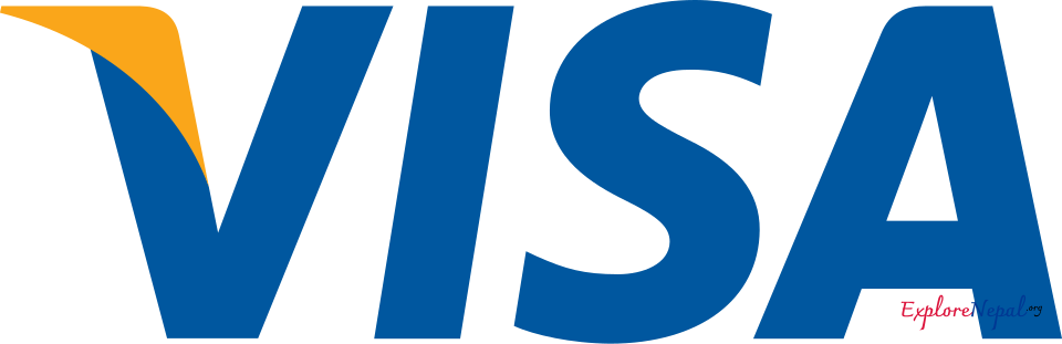 Visa Network Logo
